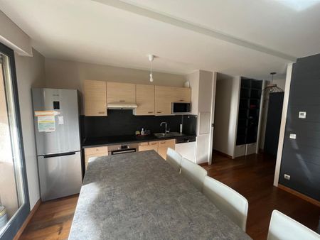 Location Appartement 2 pièces Meublé 51m² CALUIRE ET CUIRE 69300 - Photo 4