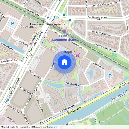 Omegaplantsoen 141, 2321 KT, Leiden