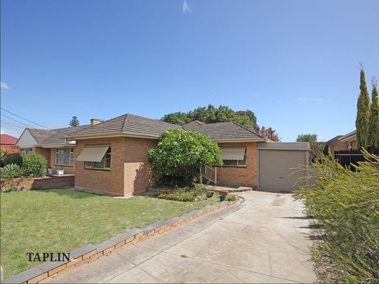 17 Errington Street, Plympton - Photo 1