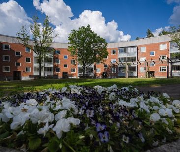 Parkgatan 36 - Foto 3