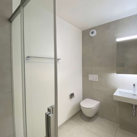 Appartement de 6 pièces en duplex et attique avec terrasse à Onex - Photo 2