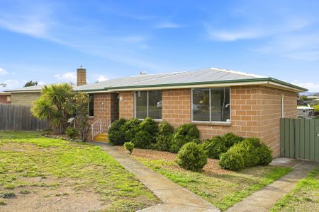 Freshly Updated Family Home with Spacious Yard - Photo 3