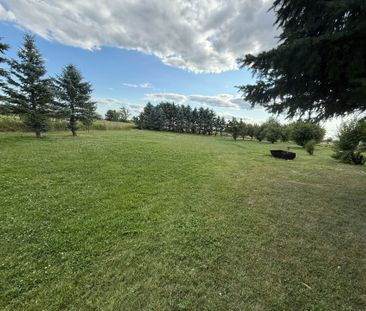 For Lease - 5640 Fifth Line Unit# Lower, Milton, Ontario - Photo 6