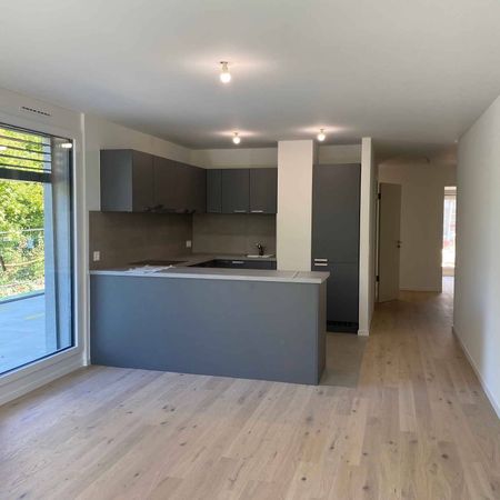 Appartements de 5 pièces neufs à Anières - Foto 4
