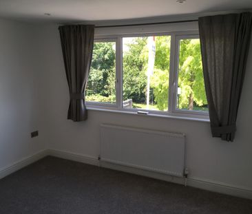 Lovely 2 Bedroom Semi-detached House to Let in Eltham - Photo 5