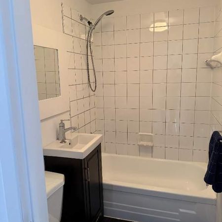 logement 4 1/2 a louer Rosemont - Photo 3