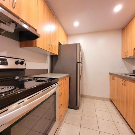 Appartement 3 ½ à louer Montcalm / Saint-Sacrement janvier 2026 - Photo 4