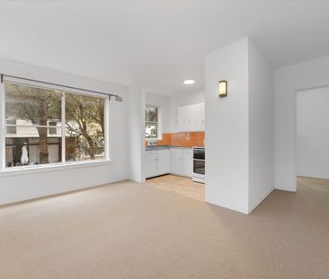 Bright Sunny 1 Bedroom Apartment, Minutes Walk To Coogee Beach - Photo 2