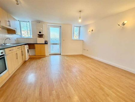 Princes Road, Torquay, TQ1 - Photo 2