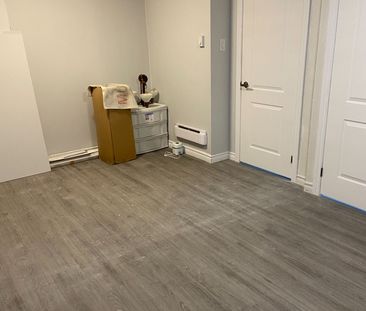 For Lease - 306 Darling Street Unit# Lower, Brantford, Ontario - Photo 4