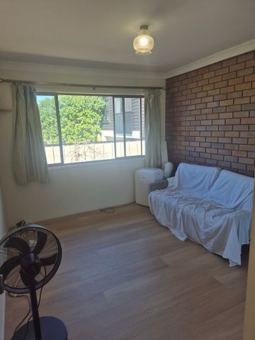 Coorparoo - Photo 3