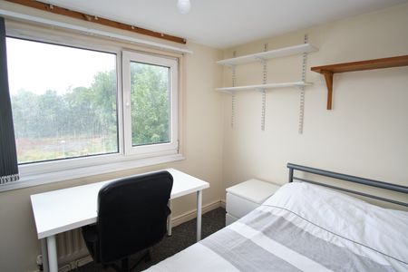 23 York Road - Photo 4