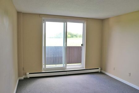 Two Bedroom Apartment - Photo 4