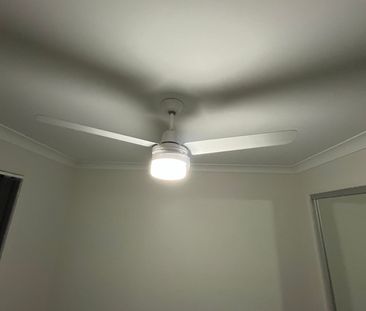 Doolandella - Photo 6