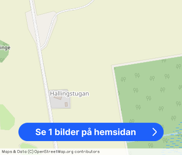 Ottekil Hallingstugan, Björkvik - Foto 1