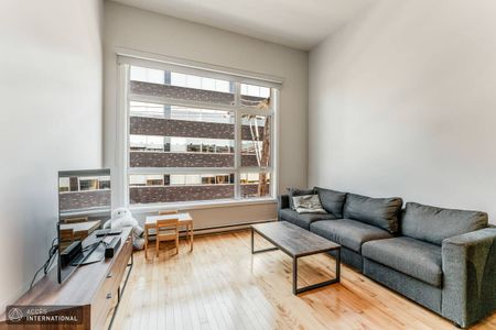 MR072 - Apartment Rosemont/Petite-Patrie, Montreal - Photo 2