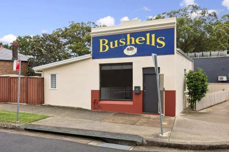 42 Stanley Street, Leichhardt - Photo 4