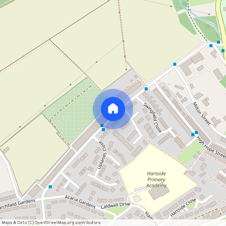 Bank Foot Grove, Crook