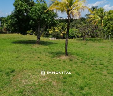 Location Maison 4 pièces 106m² GOYAVE 97128 - Photo 5