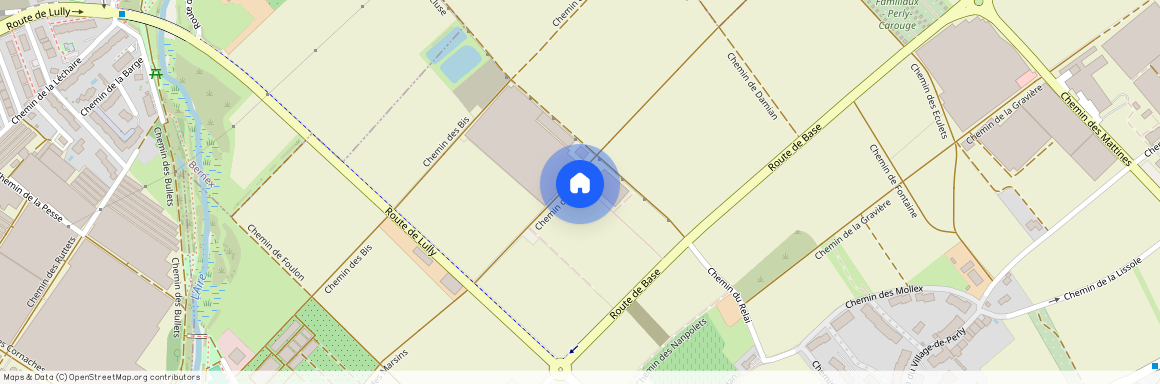 1258 Perly, chemin des Marsins 19