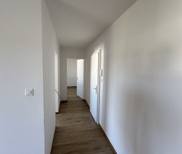 Magnifique logement de 3 pièces à louer ! - Photo 1