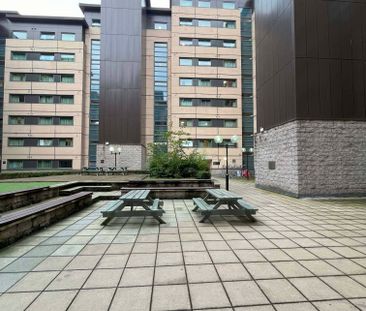 Double Partly Accessible Studio - Photo 3