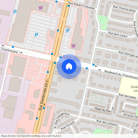 app.16, 2400 Boul. du Tricentenaire, H1B 5S3, Montréal