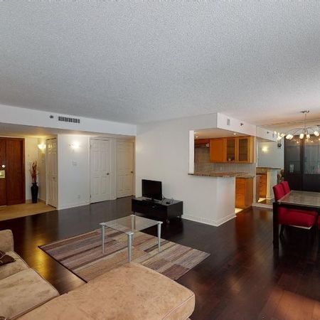 X-Large balcony, Appliances, Concordia University Oasis de ville - Condo / apartment for rent Montreal Ville-Marie - Photo 3