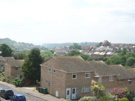 Hawthorn Road, Hastings - Photo 5