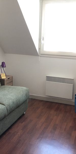 Location Appartement 1 pièce 16m² AVON 77210 - Photo 1