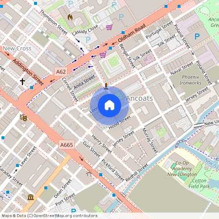 Apt 1.01 :; Ice Plant