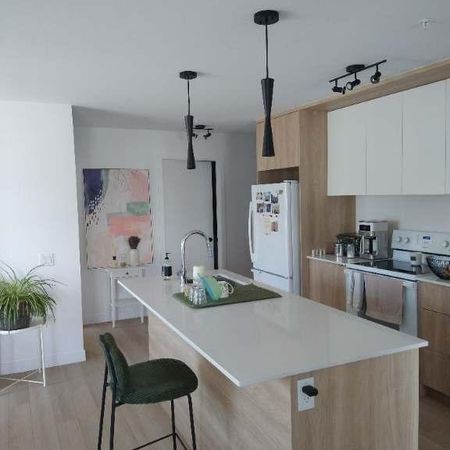 Appartement à louer à Ste-Catherine de la Jacques-Cartier - Photo 3