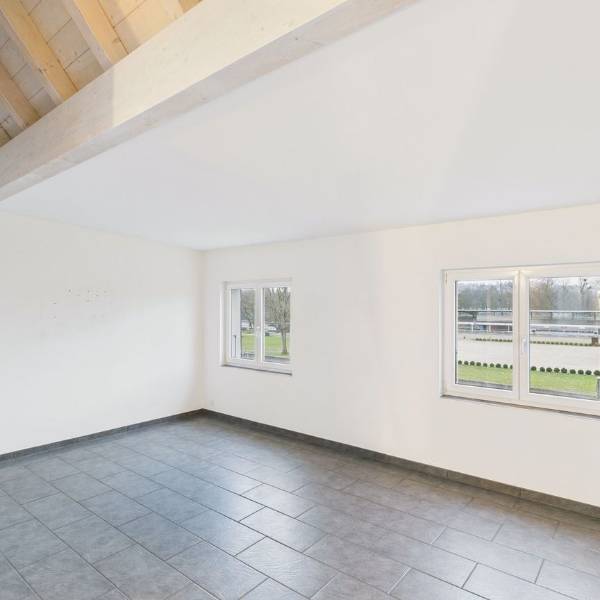 Charming 2.5-room apartment with central location, Muttenz - Foto 1