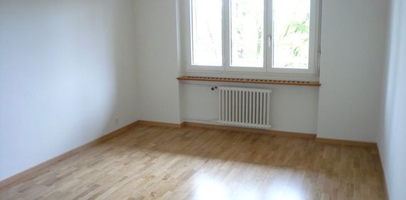 MIETEN OHNE KAUTION - Wohnen an der Limmat (Befristet bis 30.06.2028) - Photo 2