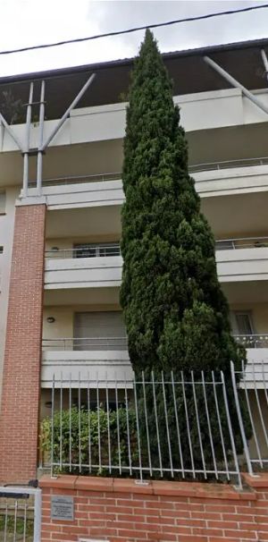 Location appartement 2 pièces - 40.45m² à Toulouse (31500) - Photo 1