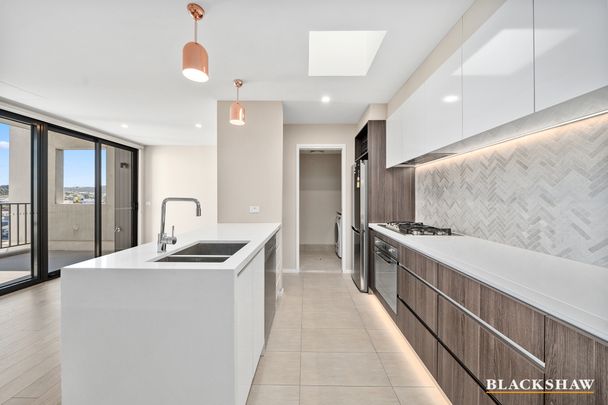 70/566 Cotter Road, Wright ACT 2611 - Apartment For Rent | Domain - Photo 1