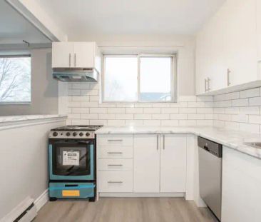 5 Napier Street - 11 | 5 Napier Street -, St. Catharines - Photo 1