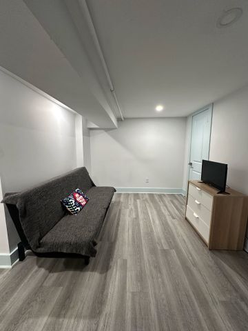 For Lease - 48 Euclid Avenue Unit# Lower, Toronto, Ontario - Photo 4