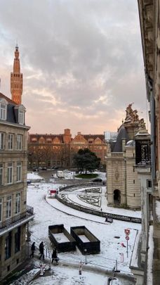 Appartement à louer F2 à Lille - Photo 1