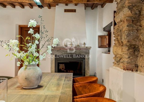 viale apua, Pietrasanta, Tuscany 55045