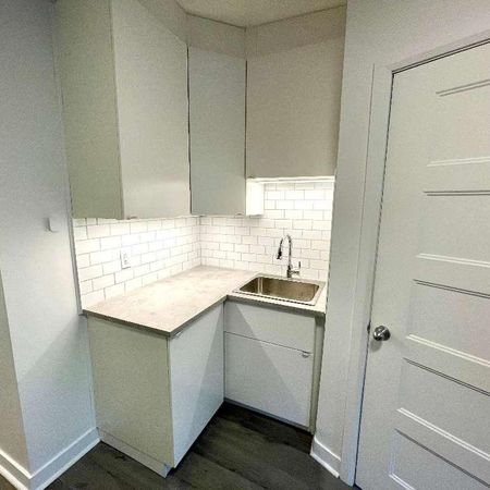 HOMA 3 1/2 complètement rénové à neuf! - Photo 4