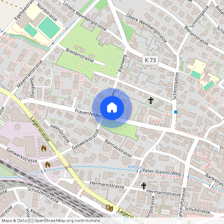 Frauenfelderstrasse 70, 8570, Weinfelden