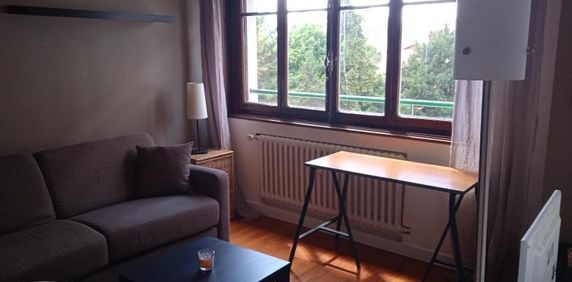 Location Appartement 1 pièce 28m² ANNEMASSE 74100 - Photo 2