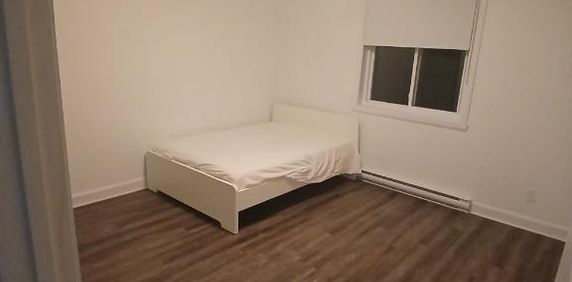 À Farnham, 4 1/2, construction 2021, Libre immédiatement - Photo 2