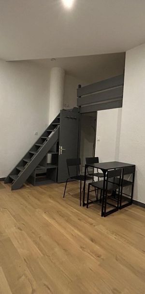 Location Appartement 1 pièce 17m² GRENOBLE 38100 - Photo 1