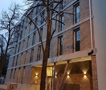 Grosszügige 2.5-Zimmerwohnung im Lehenmattquartier - Foto 3
