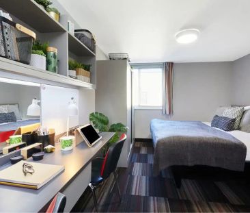 Superior King Studio - Photo 2