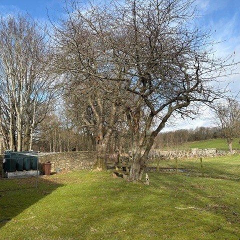 3 bedroom detached house to rent - Photo 1