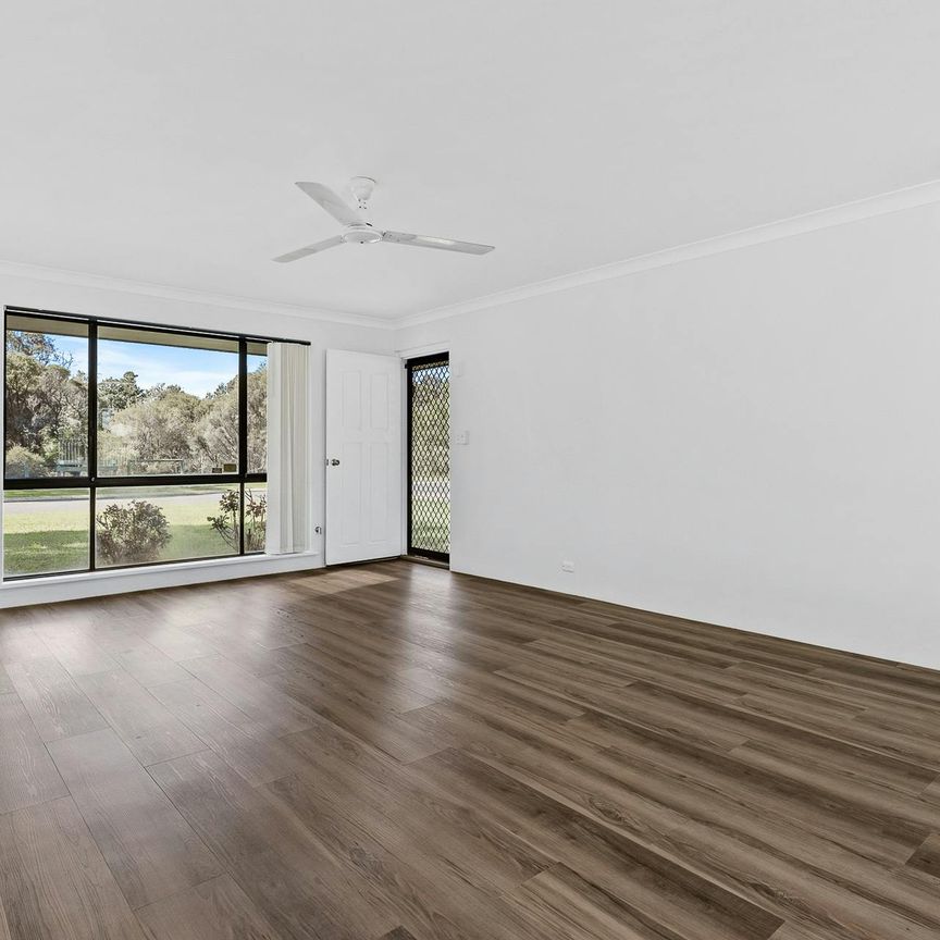 Fresh, Functional & Full of Potential - Available NOW - Photo 1