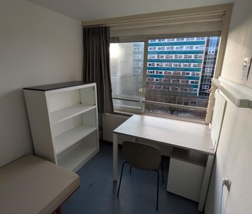 Home Vermeylen — Stalhof - Photo 6